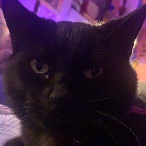 Meet your Posher, Caden